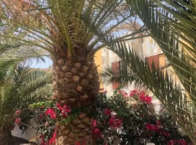 Apartamento Amaya Relax Costa De Antigua